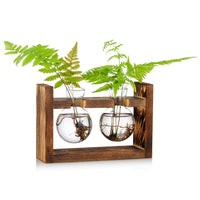 1 x Brand New Propagation Station 2 Pcs Bulb Vase Glass Sweet Pea Vase for Flowers Terrarium Jar Planter with Wooden Rack Stand Holders for Green Water Plants Fit for Home Kitchen Table Desk Indoor Decor - RRP £13.3