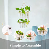 1 x Brand New Hanging Propagation Station for Plants Wall Planter Indoor Modern Glass Test Tube Vases for Flowers with Wooden Rack for Vintage Room Decor Home Office Accessories, 8 Test Tubes - RRP £17.15