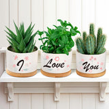 7 x Brand New Valentines Ceramic Succulent Plant Pots Gifts for Her Girlfriend Wife, 3 Pack Small Cactus Herb Pot with Drainage Hole and Tray, Romantic I Love You Gift Set Birthday Anniversary Presents Indoor Decor - RRP £83.93