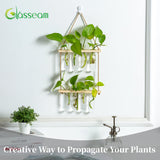 1 x Brand New Hanging Propagation Station for Plants Wall Planter Indoor Modern Glass Test Tube Vases for Flowers with Wooden Rack for Vintage Room Decor Home Office Accessories, 8 Test Tubes - RRP £17.15