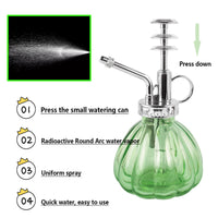 2 x Brand New Glass Watering Spray Bottle 220ML Glass Plant Spray Bottle Glass Plant Mister with Silver Top Pump Small Watering Can, for House Plants Garden Home Decora Green  - RRP £17.98