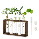 1 x Brand New Wall Hanging Glass Planter Propagation Station Modern Wall Mounted 5 Test Tube Flower Bud Vase in Wood Stand Rack Tabletop Terrarium for Hydroponic Plants Cuttings Office Home Decoration - RRP £15.08