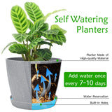 1 x RAW Customer Returns Plant Pots Indoor, 6Pack Plastic Plant Pots 19 17.5 16.5 15.5 14 11.5cm, Flower Pots Outdoor Self Watering Indoor Plant Pot with Drainage Holes and Tray, Plastic Planter for Garden House Plants Grey  - RRP £19.99