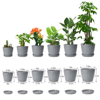 1 x RAW Customer Returns Plant Pots Indoor, 6Pack Plastic Plant Pots 19 17.5 16.5 15.5 14 11.5cm, Flower Pots Outdoor Self Watering Indoor Plant Pot with Drainage Holes and Tray, Plastic Planter for Garden House Plants Grey  - RRP £19.99