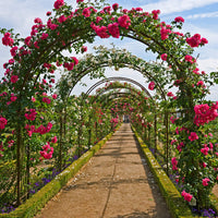 1 x RAW Customer Returns Forever Speed Steel Frame Garden Arch Rose Arch for Roses Climbing Plants Support Archway Garden Wedding Decoration 240 cm x 140 cm x 38 cm, Green - RRP £27.71