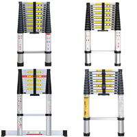 RAW Customer Returns Job Lot Pallet - Telescoping Ladders, Beach Tents & Toilet Tents -  25 Items - RRP £2196.17