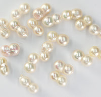 350 x Brand New White Cultured Akoya Pearl Twin Pieces 7mm-8mm to 13-15mm size - RRP £980 Reserve £314.25
